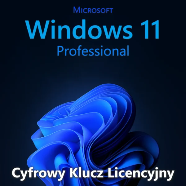 Microsoft Windows 11 Pro